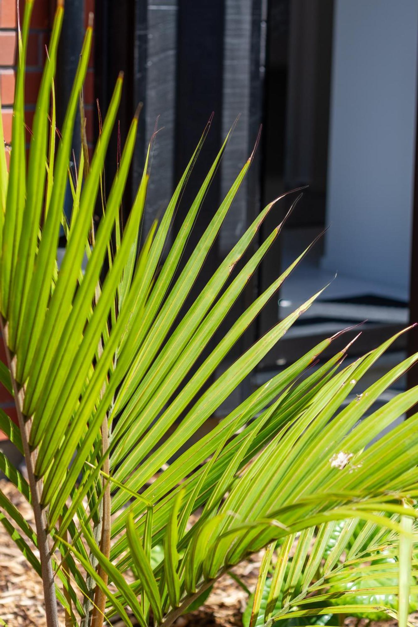 Conveniently Located 2Br Townhouse In West Akl Auckland Exterior foto